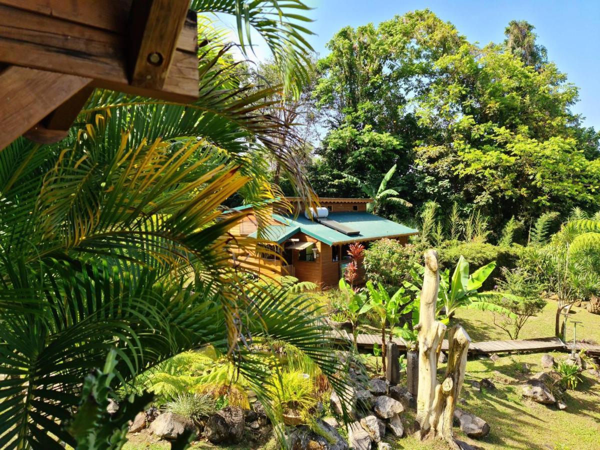 Les Bananes Vertes Ecolodges Saint-Claude Exterior photo