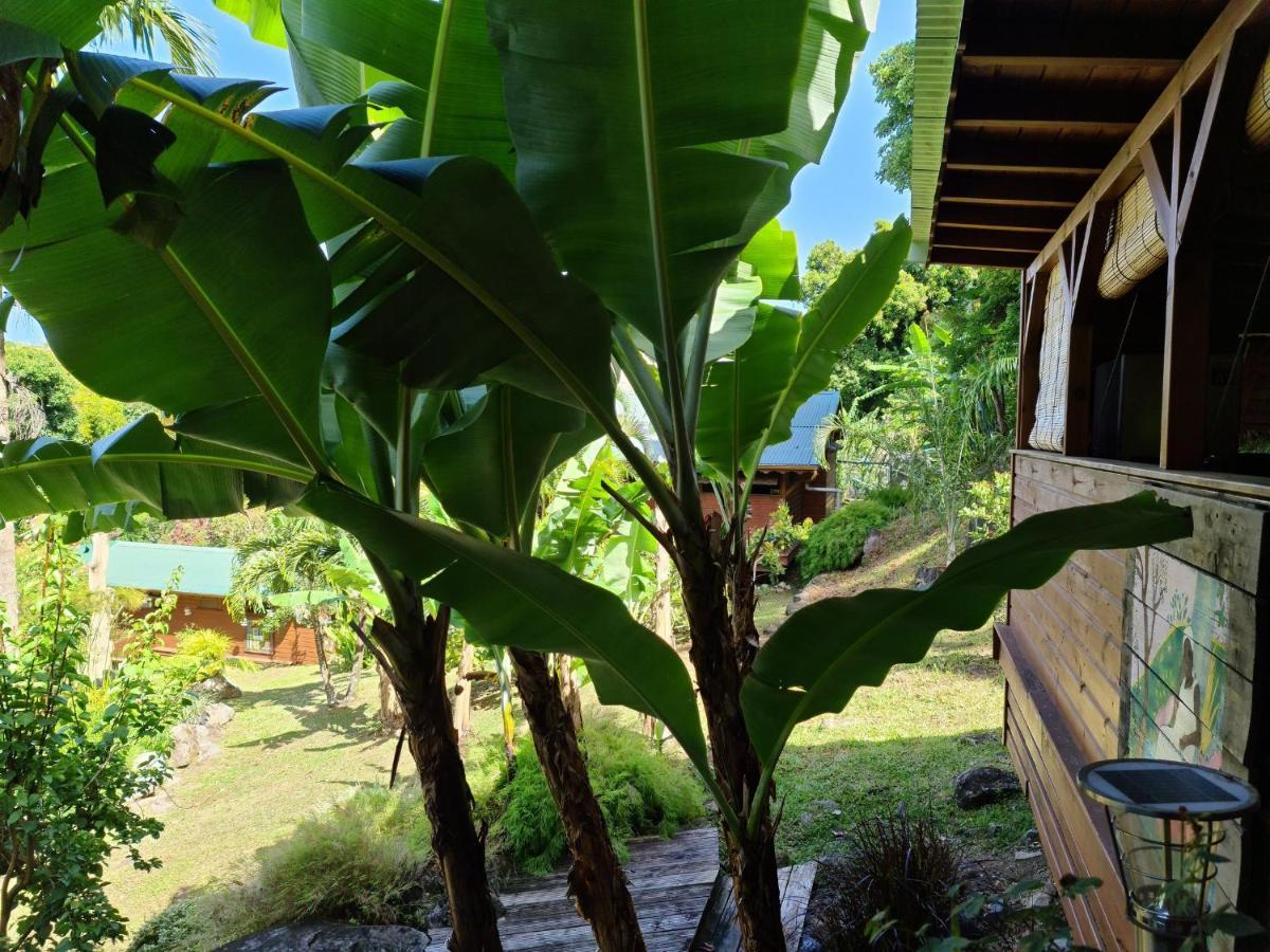 Les Bananes Vertes Ecolodges Saint-Claude Exterior photo