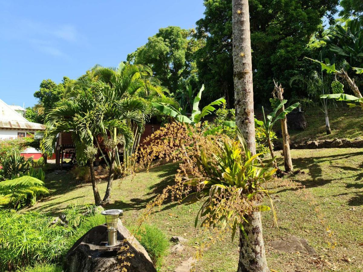 Les Bananes Vertes Ecolodges Saint-Claude Exterior photo