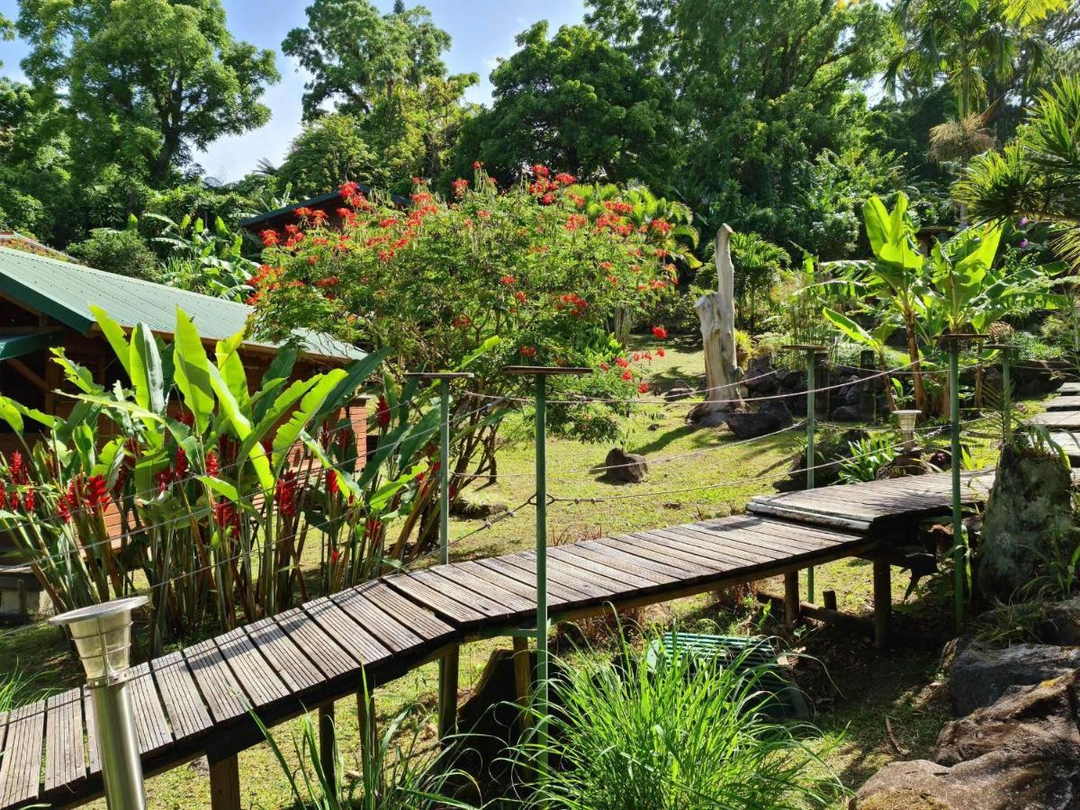Les Bananes Vertes Ecolodges Saint-Claude Exterior photo